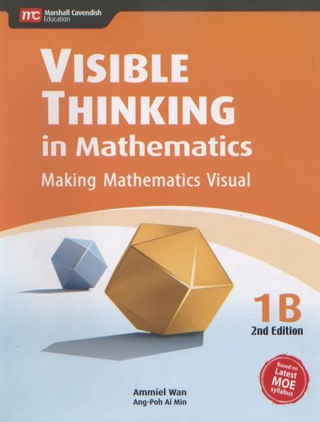 Visible Thinking in Maths 1B