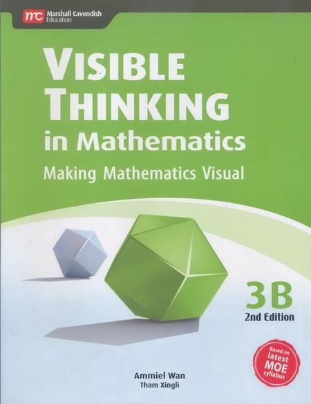 Visible Thinking in Maths 3B