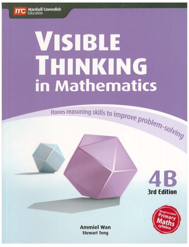 Visible Thinking in Maths 4B