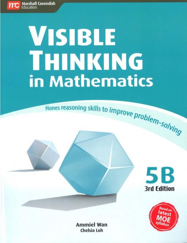 Visible Thinking in Maths 5B