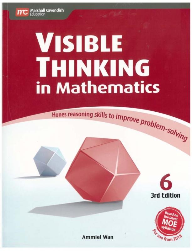 Visible Thinking in Maths 6