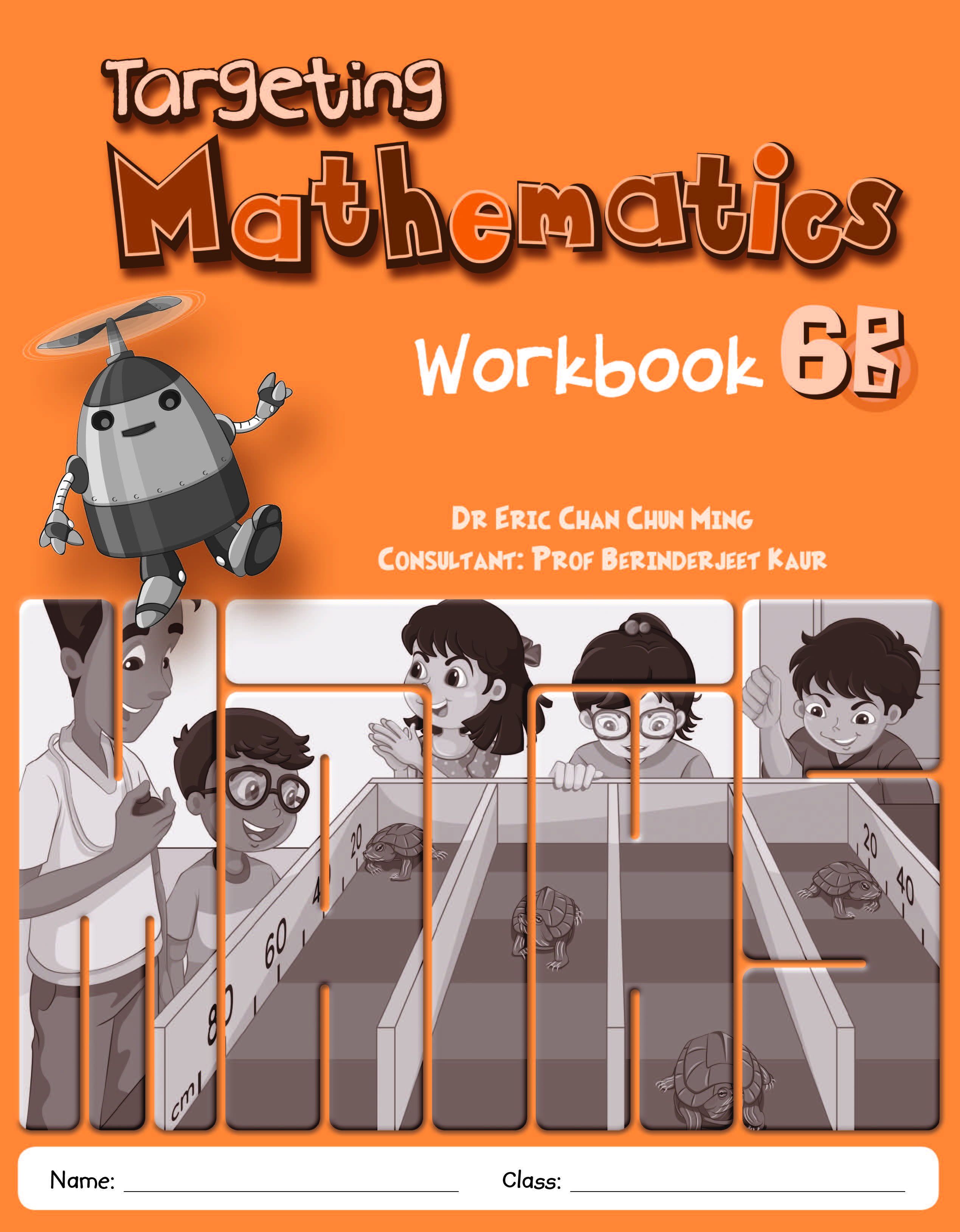 Targeting Mathematics Workbook 6B